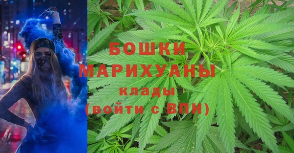 PSILOCYBIN Бородино