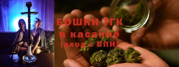 PSILOCYBIN Бородино