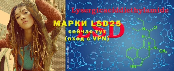 PSILOCYBIN Бородино