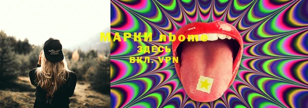 PSILOCYBIN Бородино