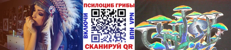Галлюциногенные грибы Psilocybine cubensis  купить наркотик  Энгельс 